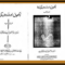 NamzeShab